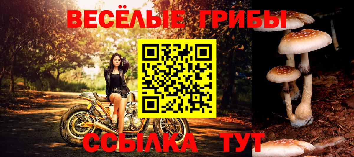 Галлюциногенные грибы ЛСД  Вход с VPN  Хабаровск 