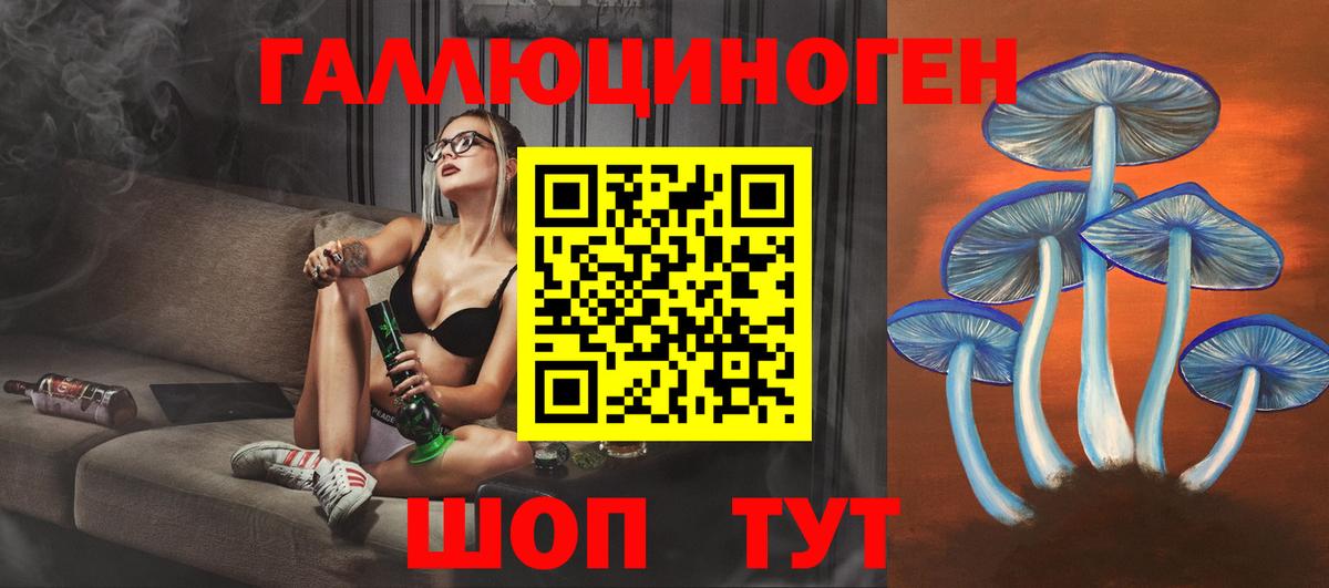 Галлюциногенные грибы Psilocybe Хабаровск